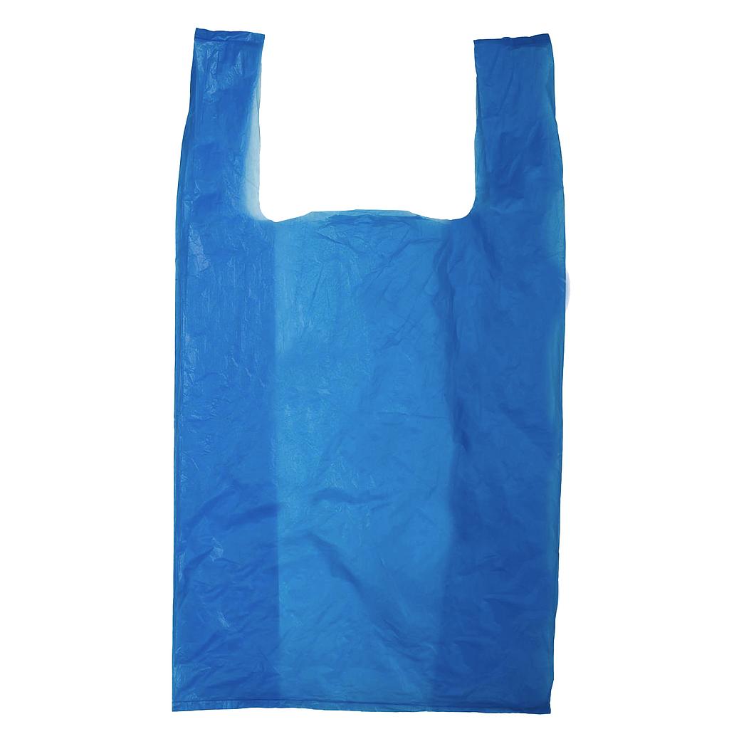 1/6  Blue bags